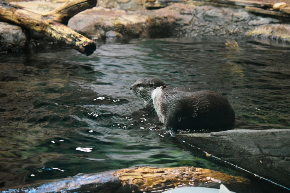 Photograph by Ксения Работкина