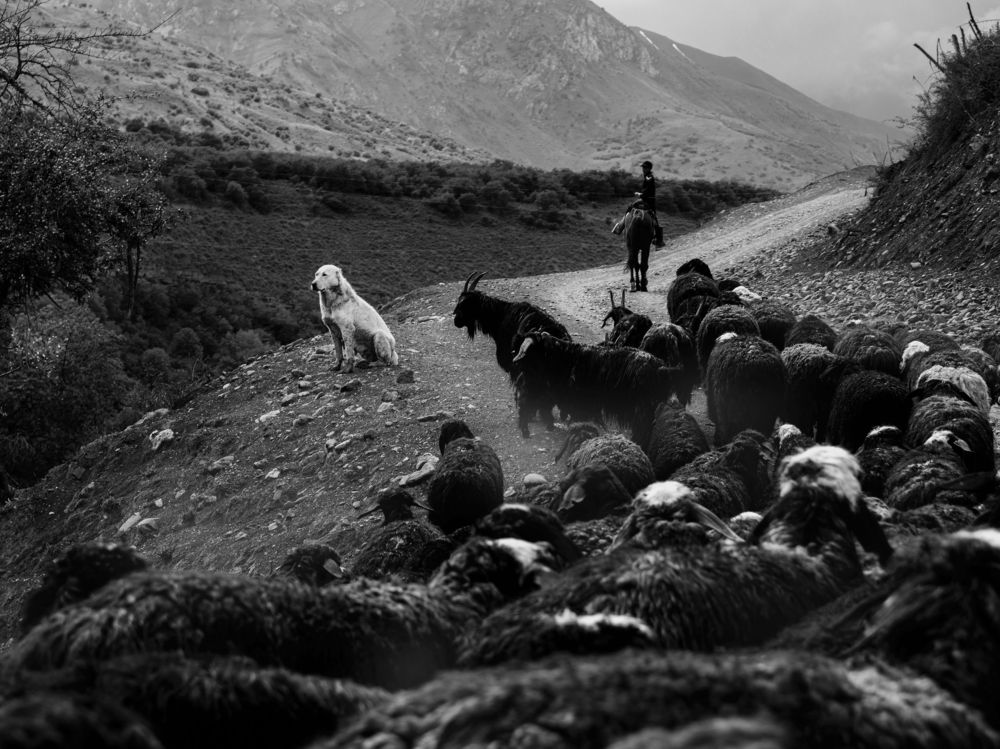 Photograph by Evgeniy Savikov