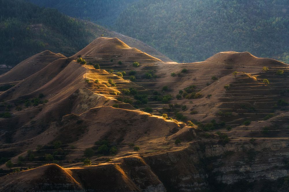 Gold of the Caucasus - Золото Кавказа