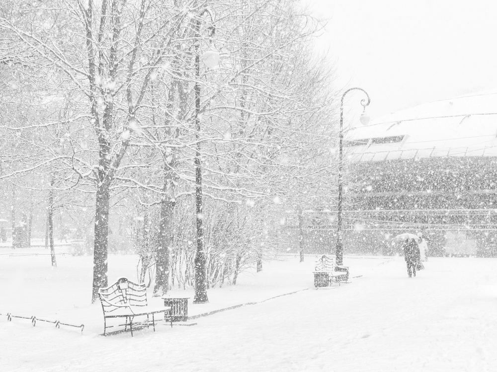 Photograph by Александр Авдушев