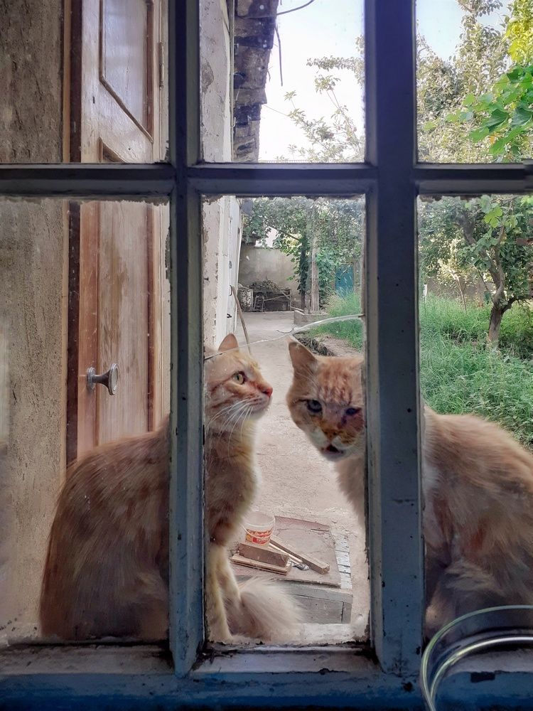 Photograph by Эмма Рахматуллина