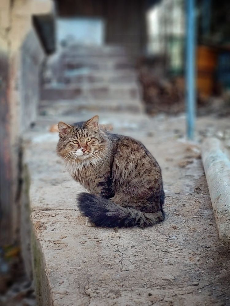 Photograph by Эмма Рахматуллина