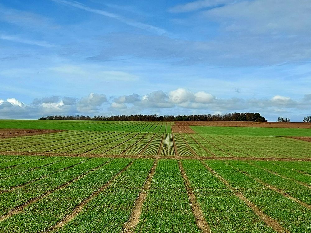 Photograph by Blagoja Mojsoski