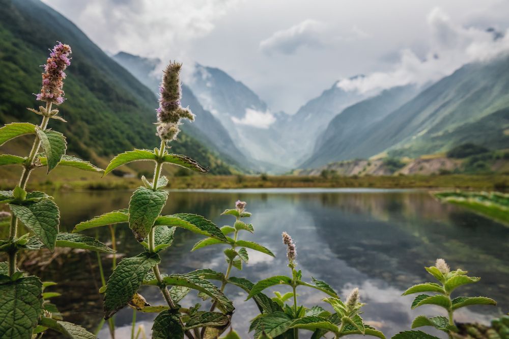 Photograph by Дудников Александр
