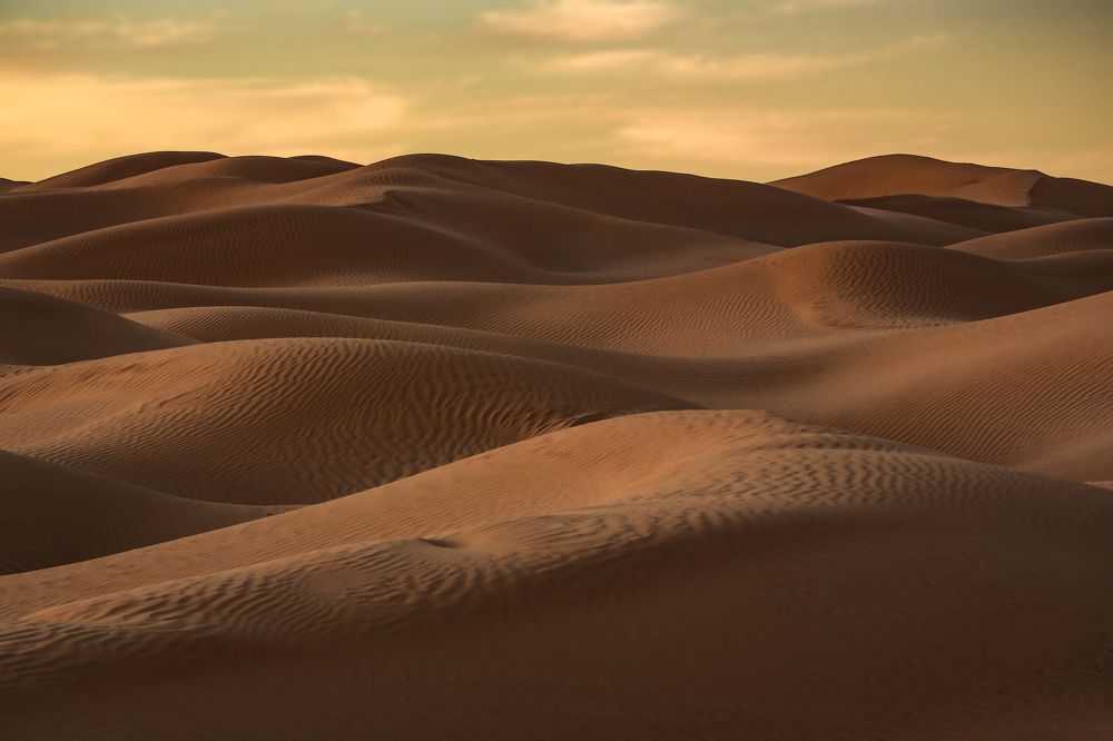 Photograph by Daniele Bonaglia