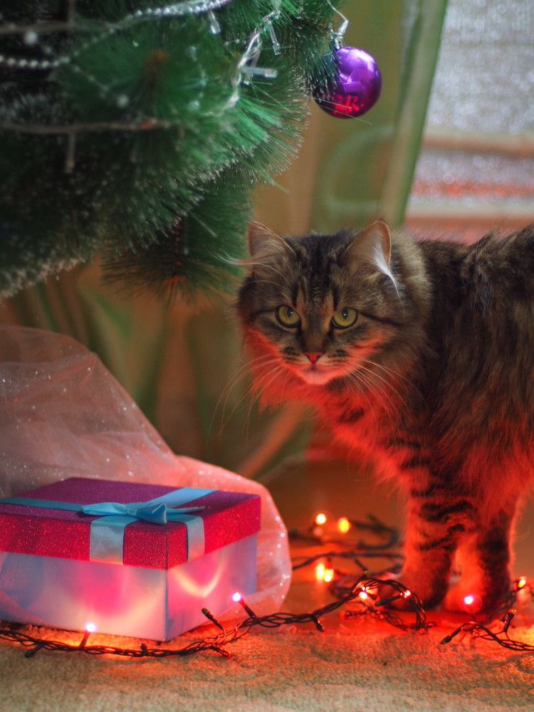 Photograph by Наталья