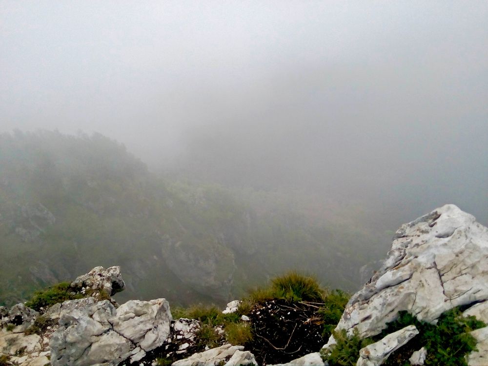 Photo #8918314