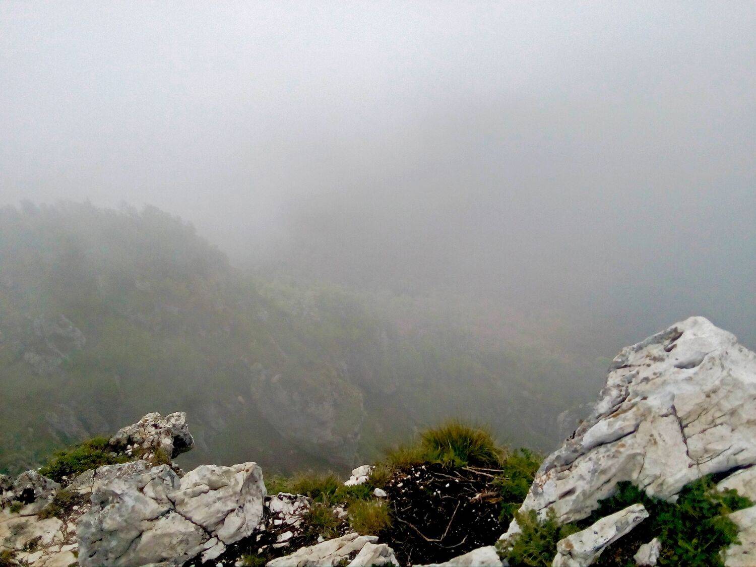 Photo #8918314