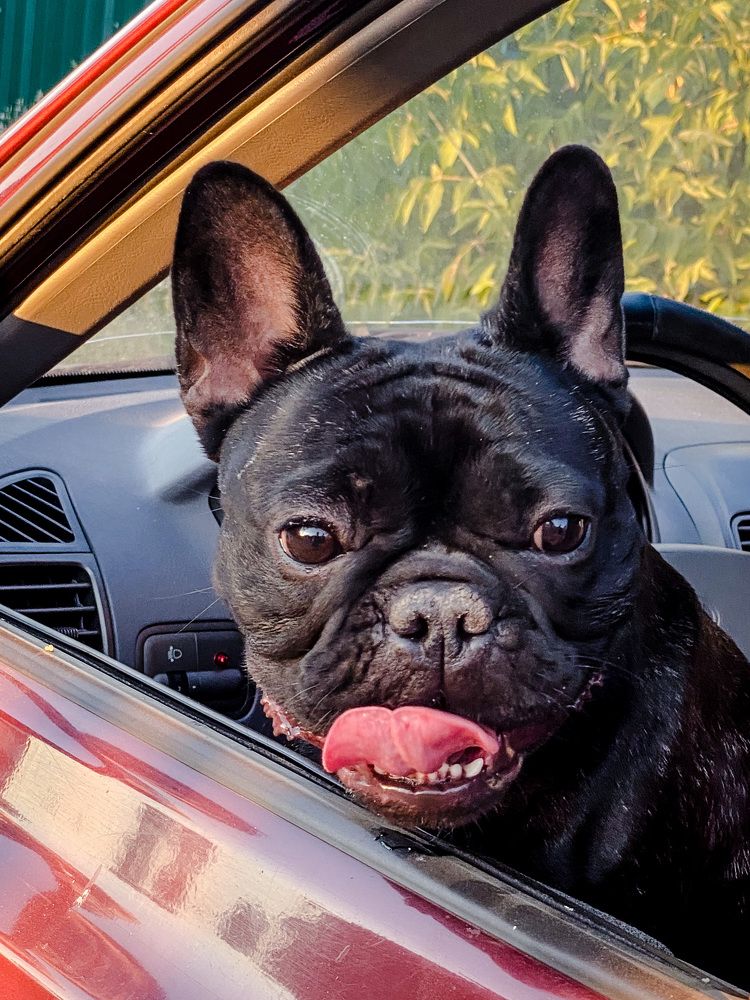 Photograph by Светлана Стаценко