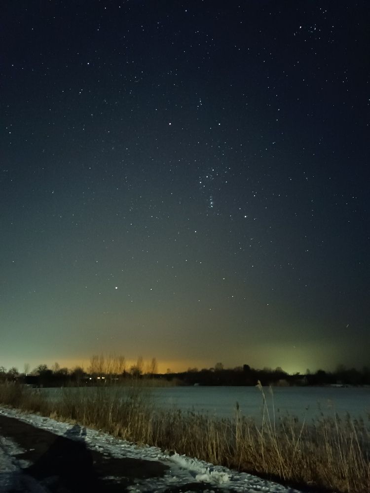 Photo #8918514