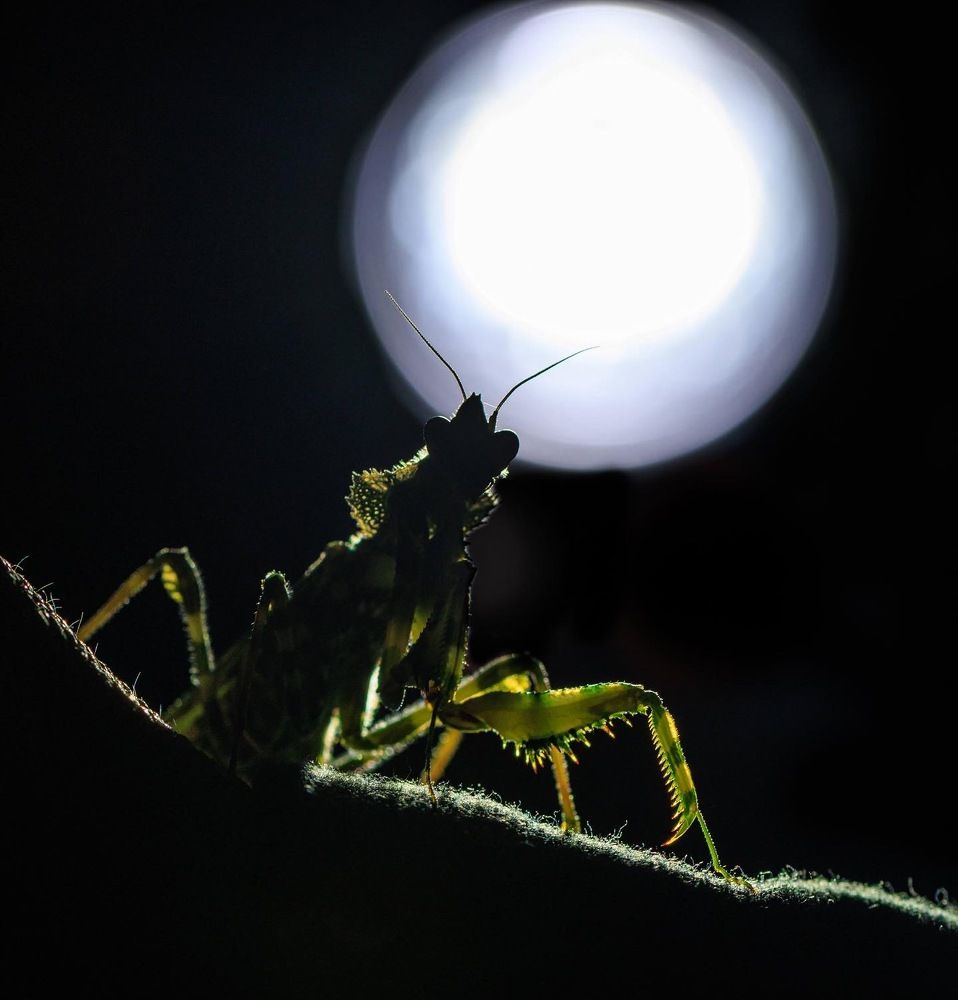 Photograph by Dany Natapov