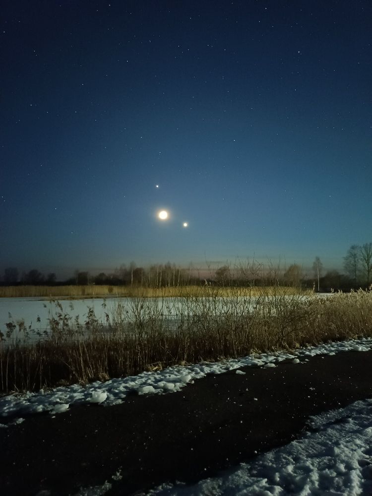 Photo #8918606