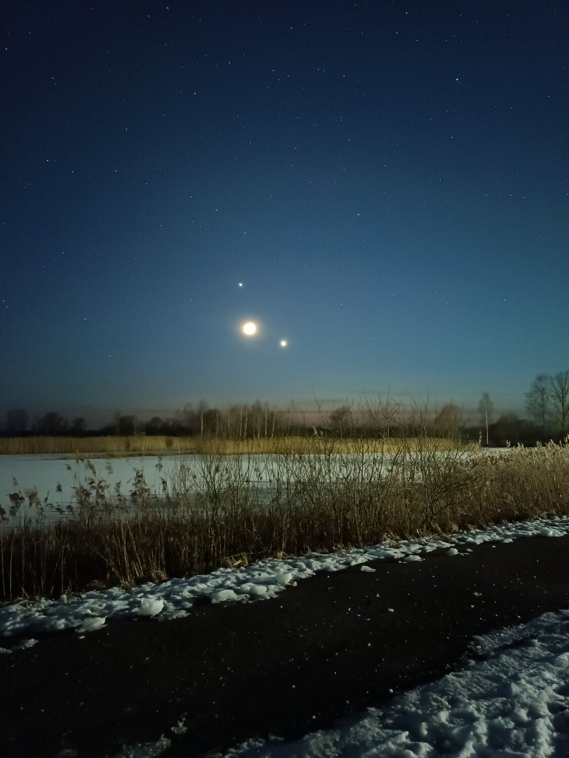 Photo #8918606