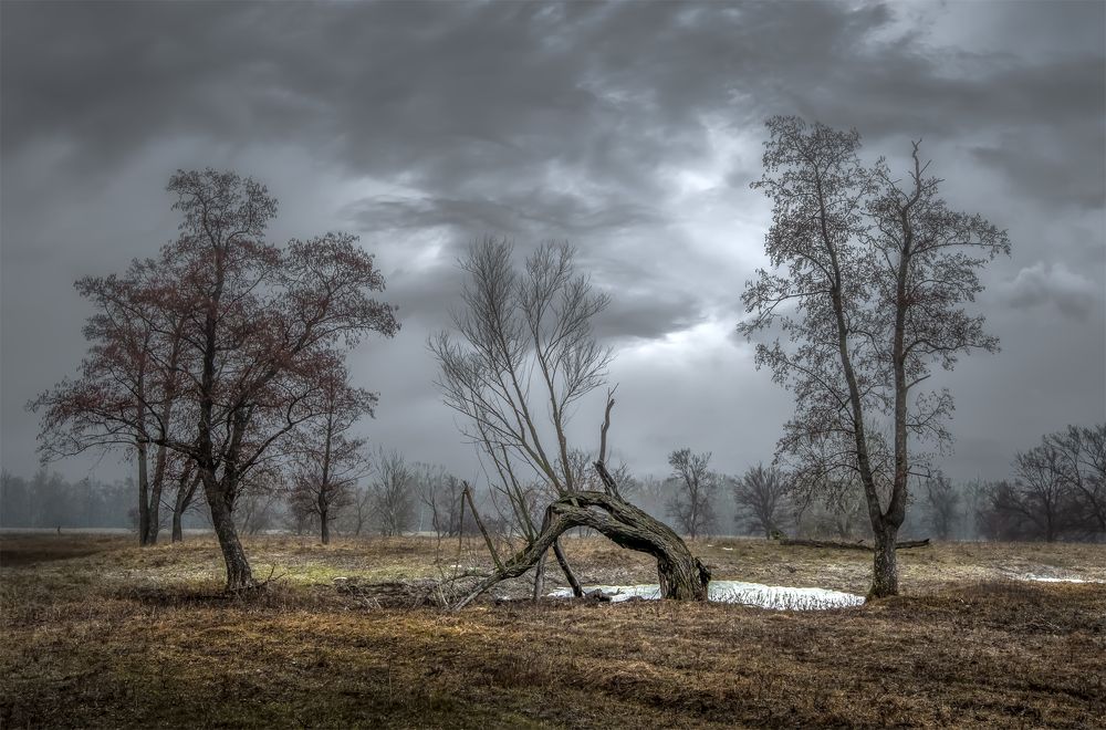 Photograph by олег кирюшкин