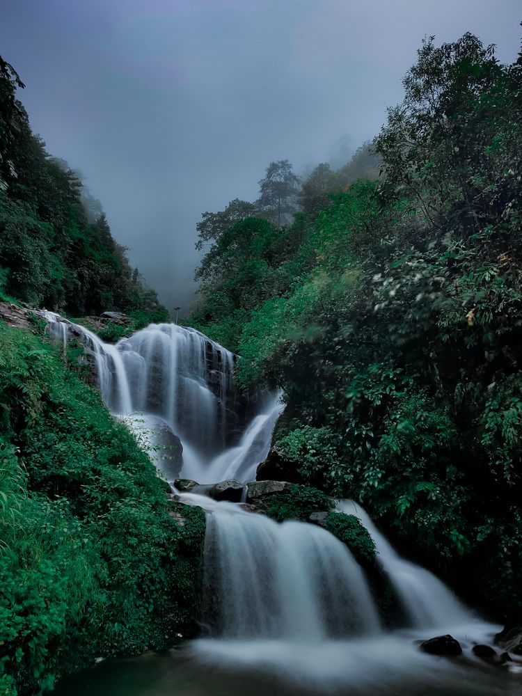 Photograph by Md Shadab Alam