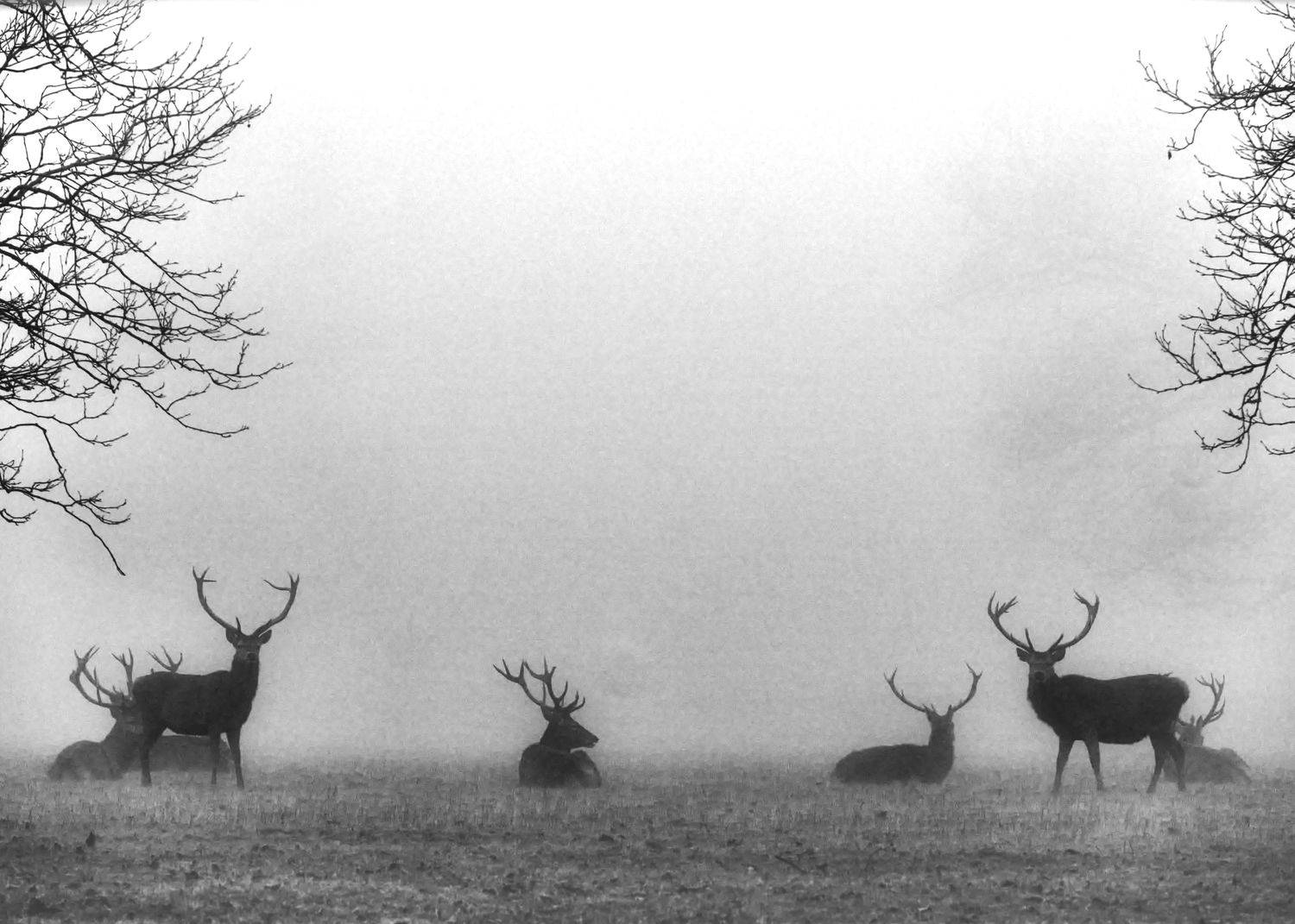 Photo #8918726