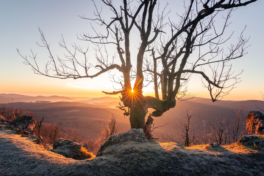 Photograph by Lukas Kulla