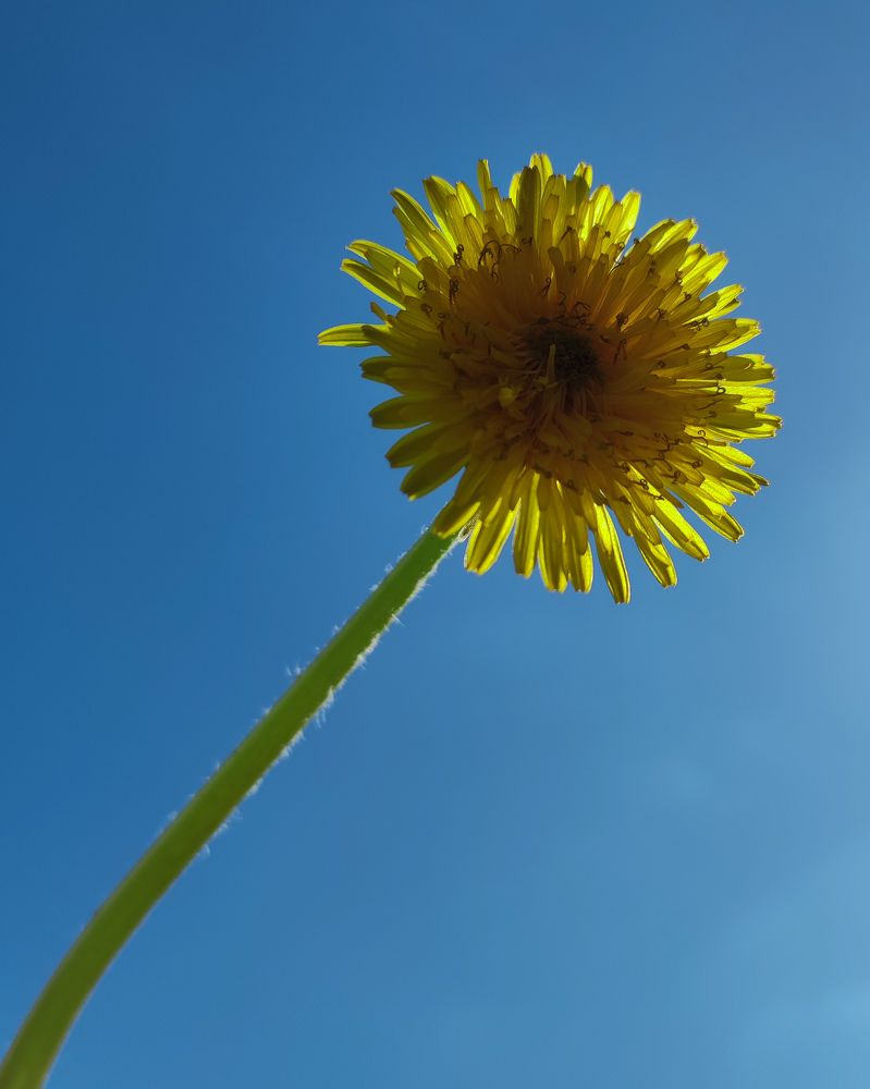 Photograph by Татьяна Парамонова