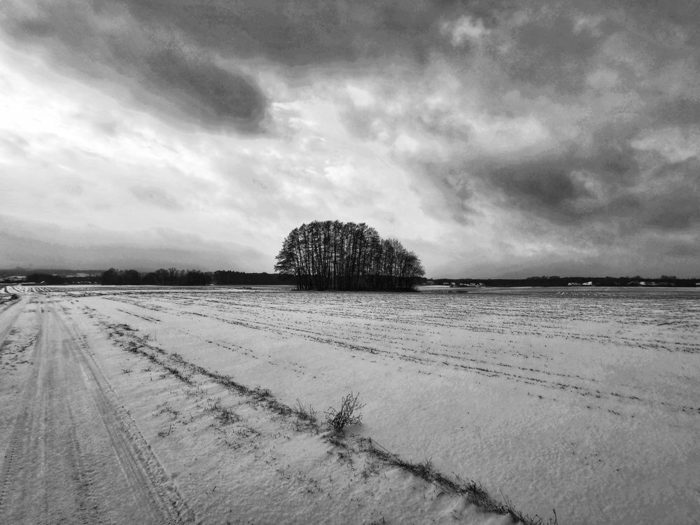 Photograph by Małgorzata Szymańska