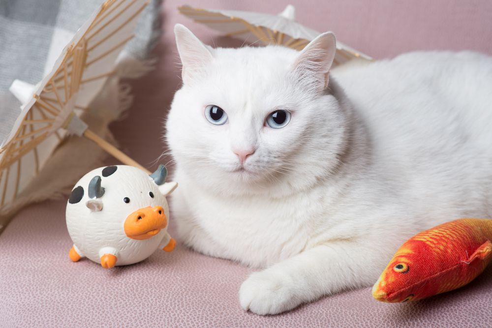 Photograph by Анна Белинская