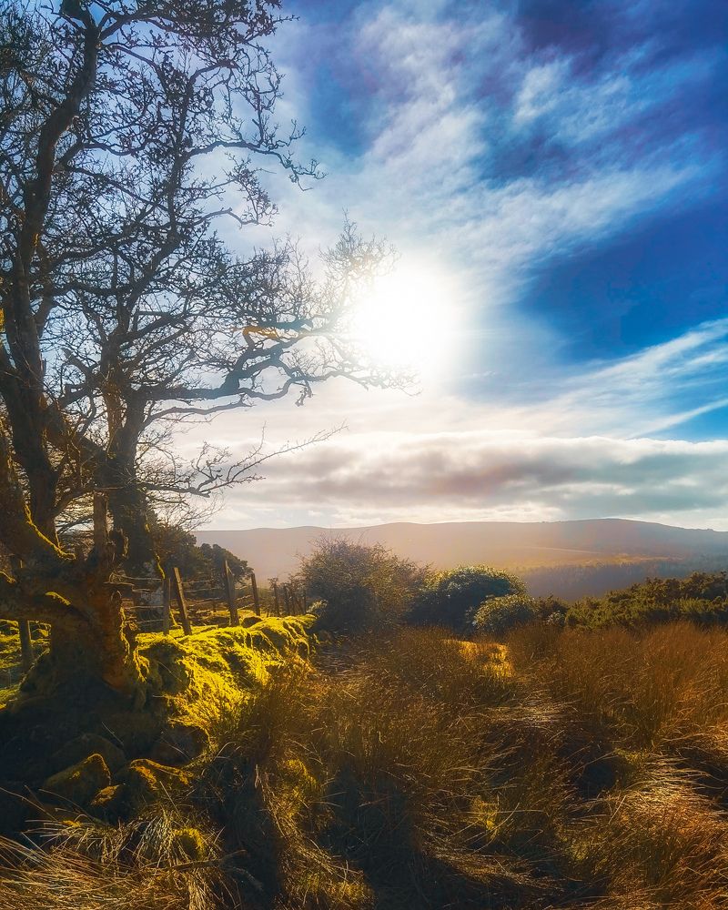 Photograph by Michael Deligan