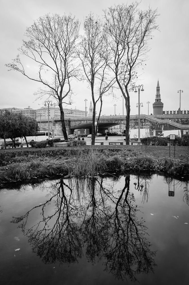 Photograph by Галина Бехметьева