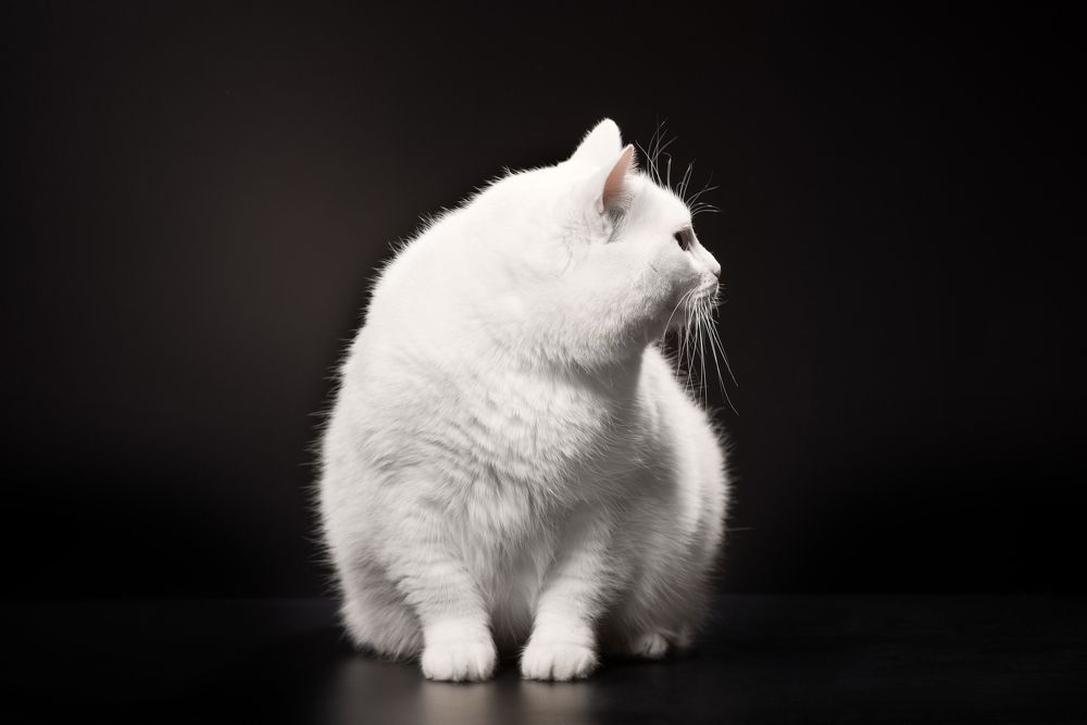 Photograph by Анна Белинская