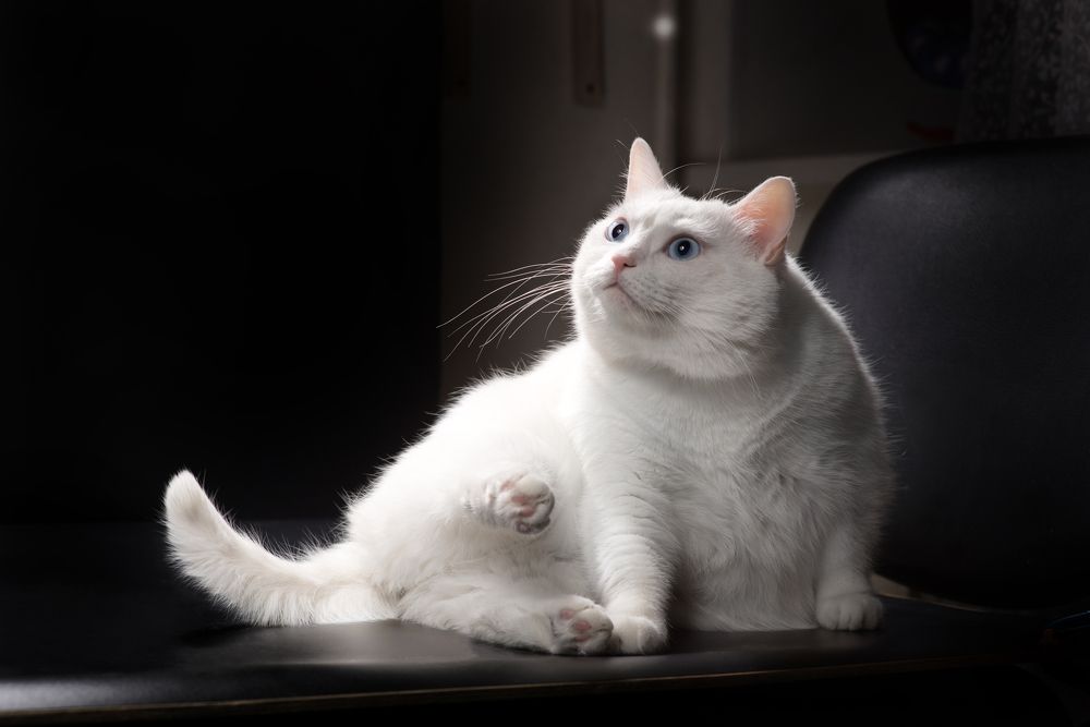 Photograph by Анна Белинская