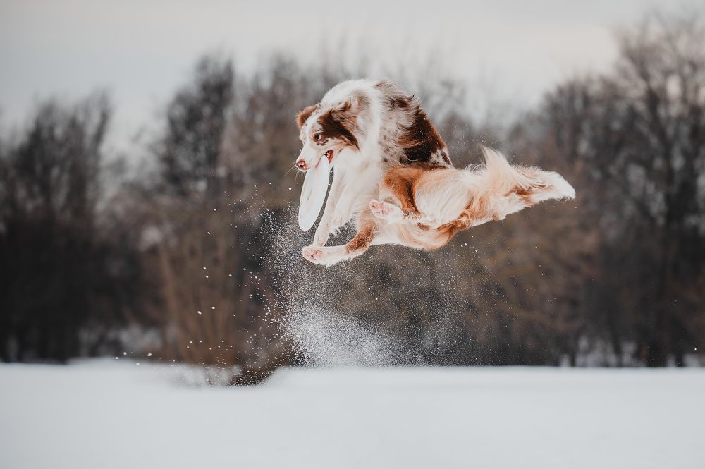 Photograph by Kate Entsi