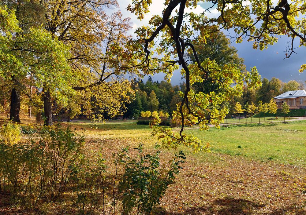 Photograph by Ирина Румянцева