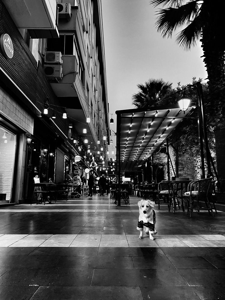 Photograph by Vera Notovich