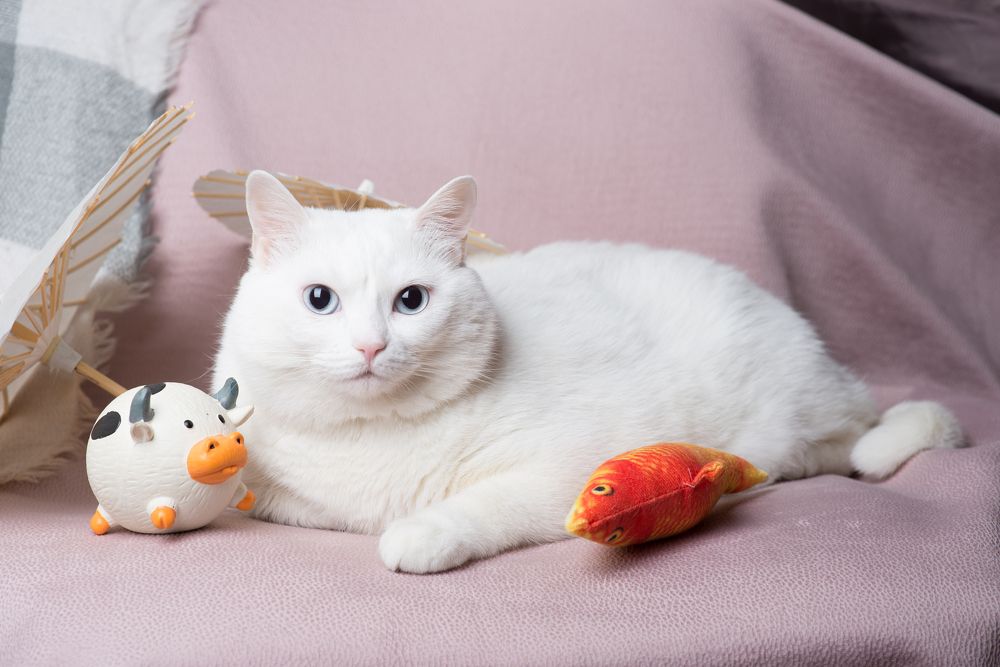 Photograph by Анна Белинская