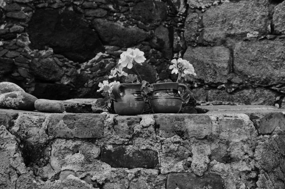 Photograph by Aura Rodríguez