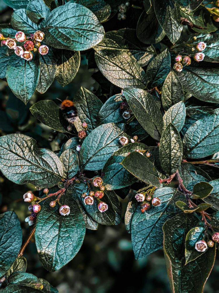 Photograph by Герасимова Анастасия