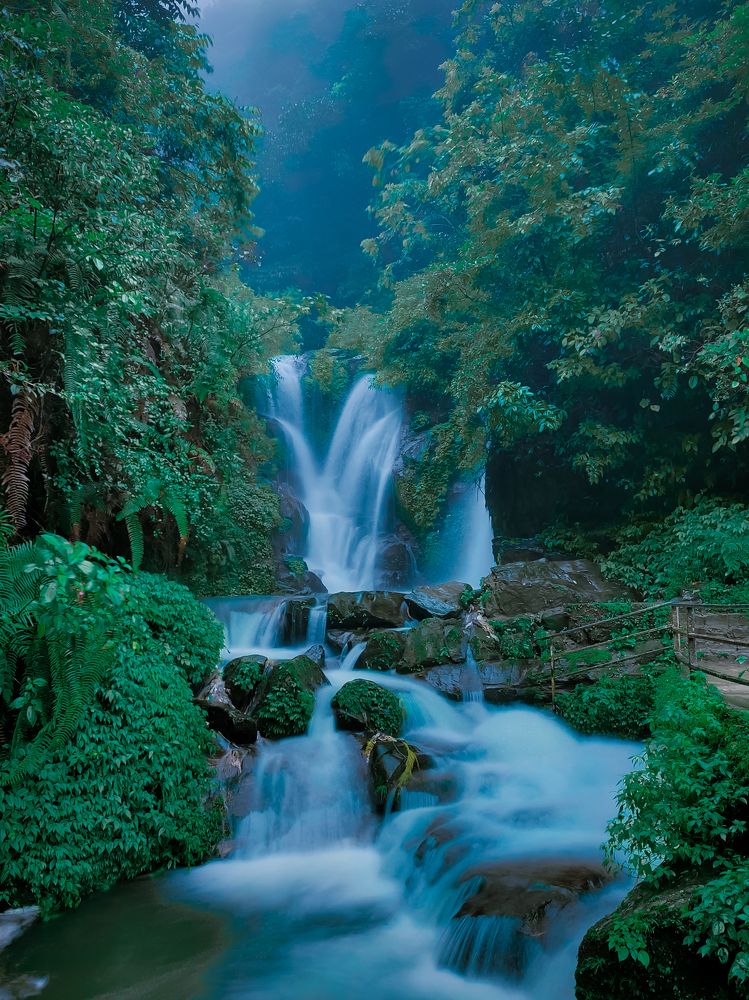 Photograph by Md Shadab Alam