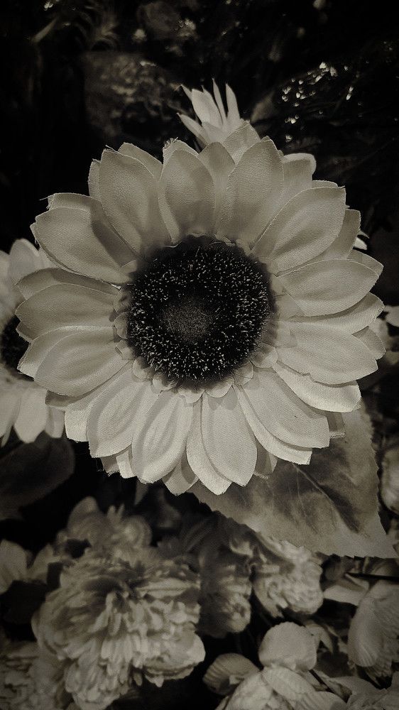 Photograph by Arelia Manderson