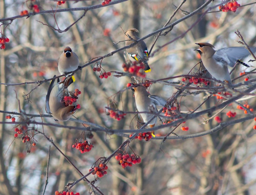 Photograph by Вячеслав