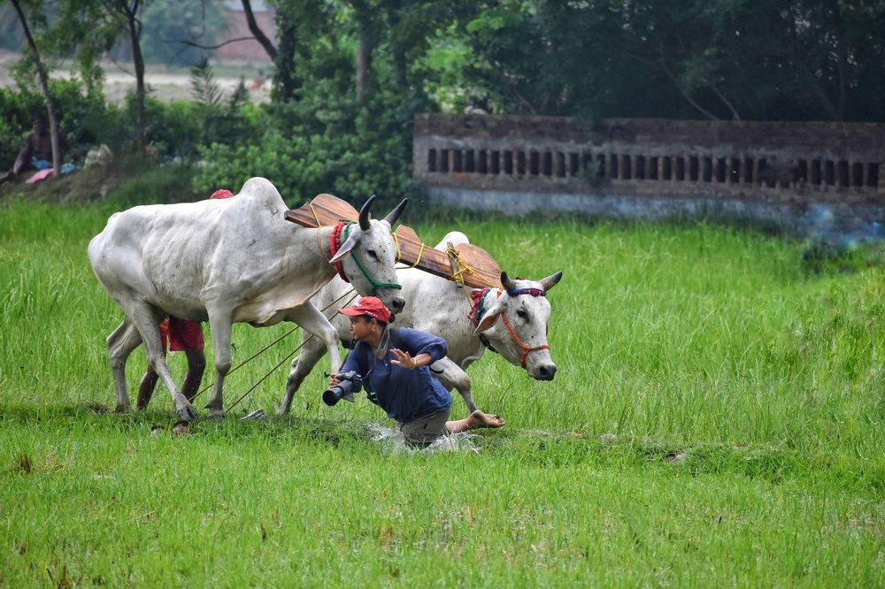 Photograph by Joy Karmakar