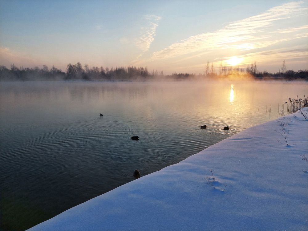 Photograph by Ирина Румянцева