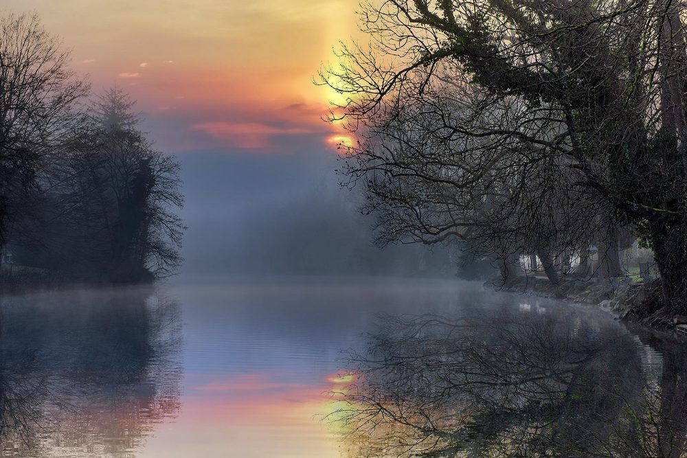 Photograph by Victor