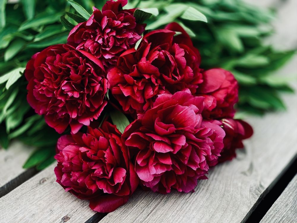 Photograph by Ольга Левенец