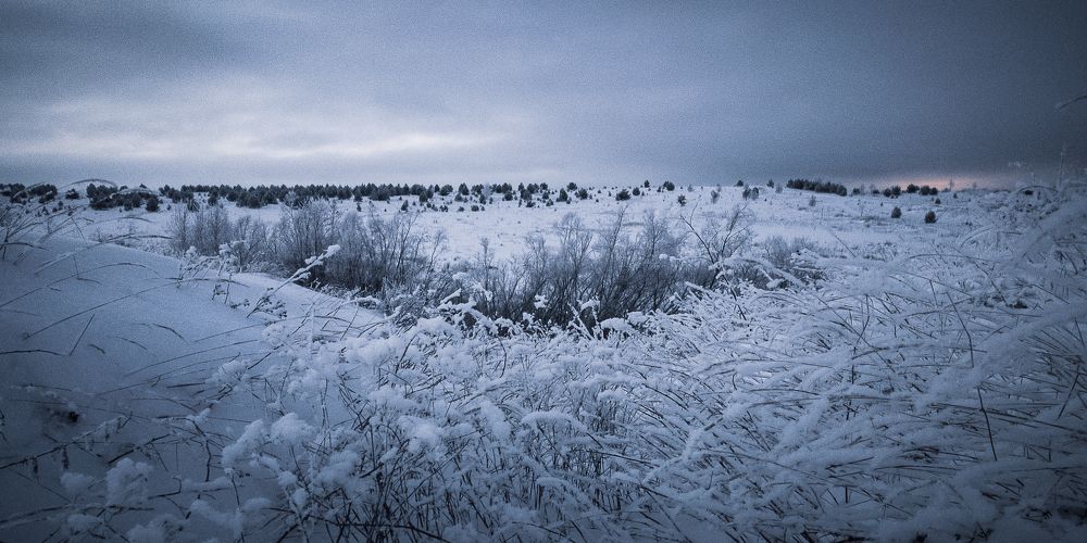 Photograph by Стас