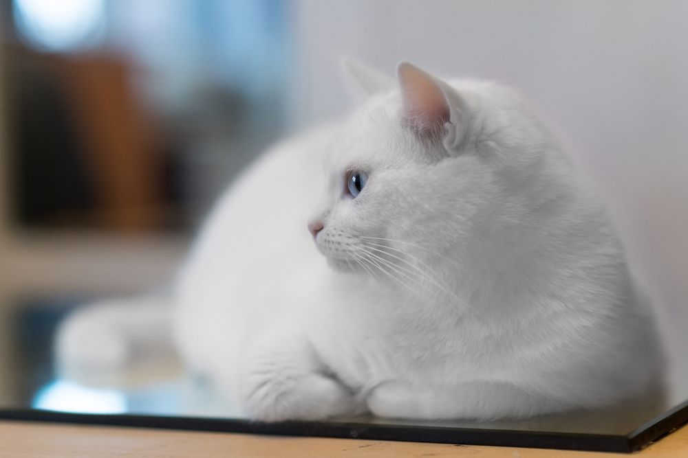 Photograph by Анна Белинская