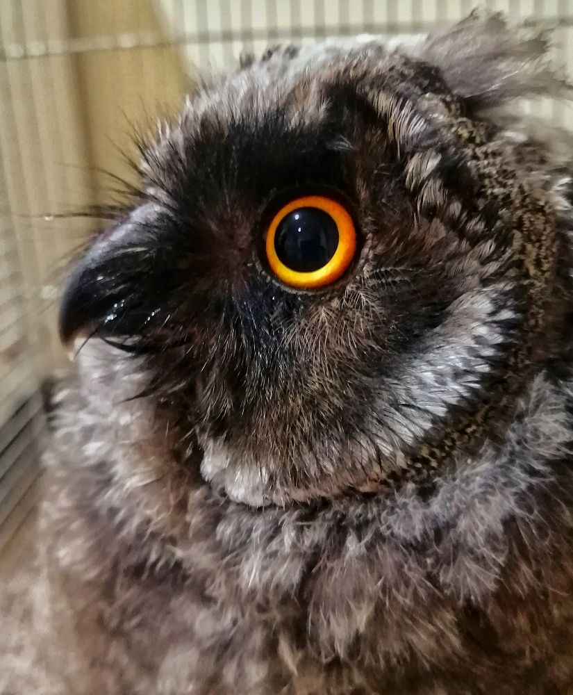 Photograph by faiaq ary