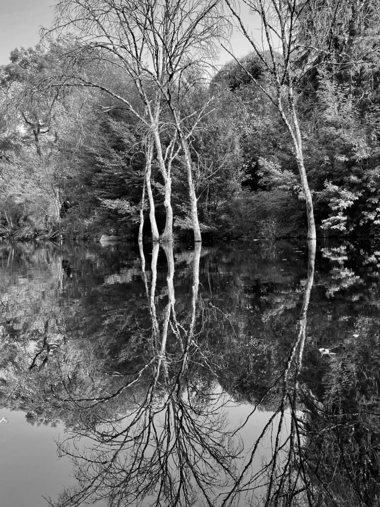 END Of a SEASON’22