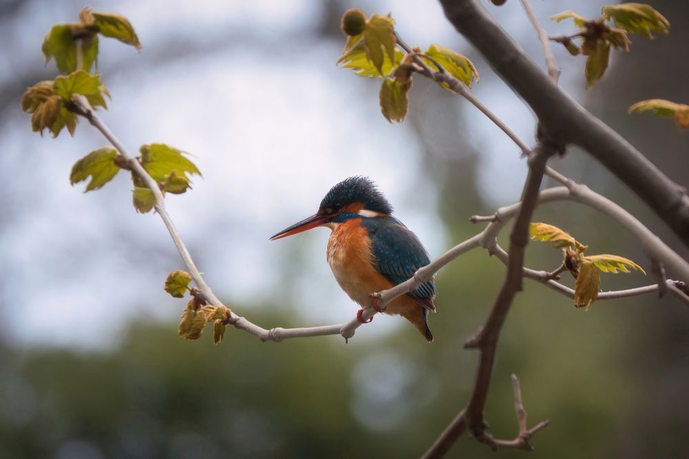 Photograph by Дудников Александр