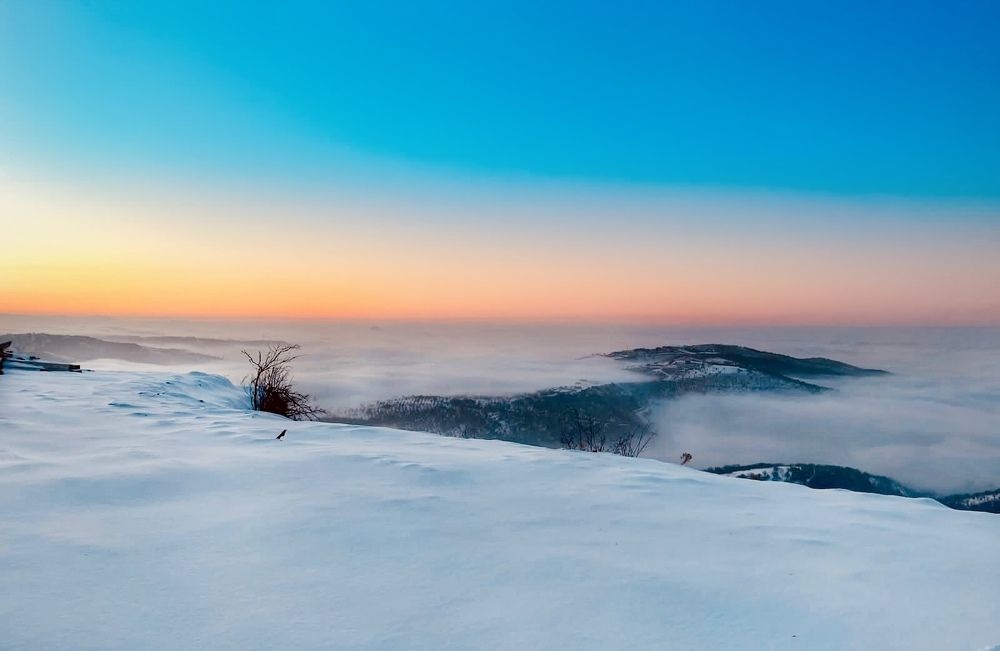 Photograph by Alena Kochergina