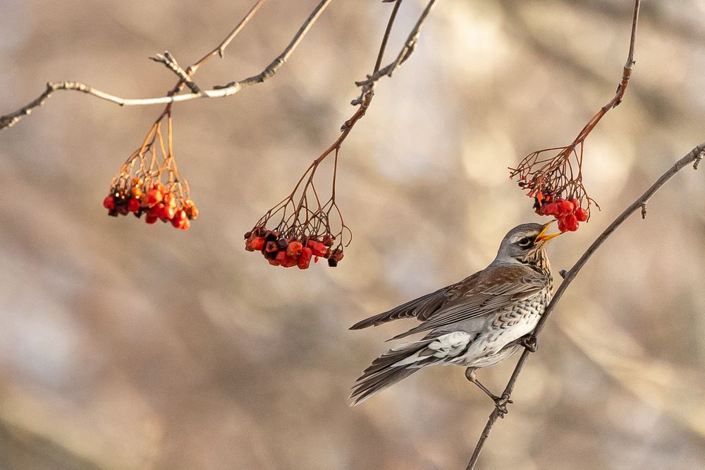 Photograph by Алексей Епишкин