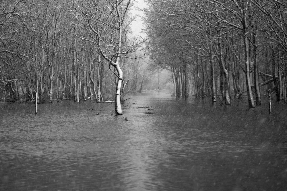 Photograph by Davor Cevizovic