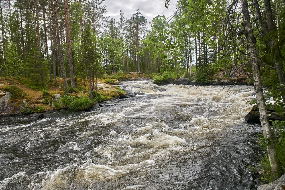 Photograph by Александр Антонов